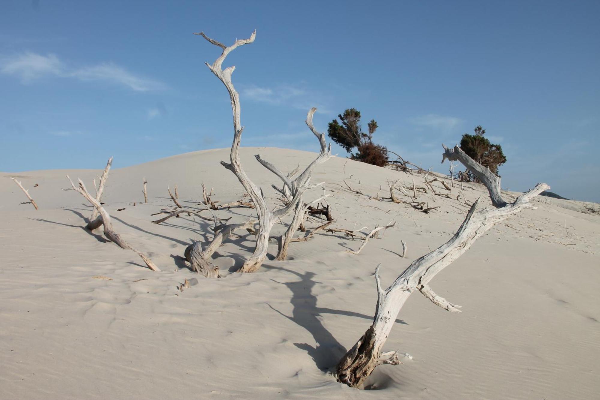 Rustico Porto Pino 30 Mt Dalla Spiaggia Exteriér fotografie